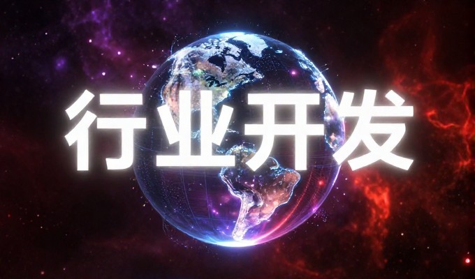 武汉专业建站，模板化快速上线 vs 深度定制化系统构建